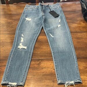 Distressed Blue Ankle Jeans